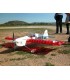 Avion 3D Razzia 1m94 ARF