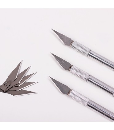 Cutter with replacement blades