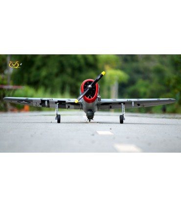 P-47 D 50 Camo Version avec les bombes !! (VQ Model)