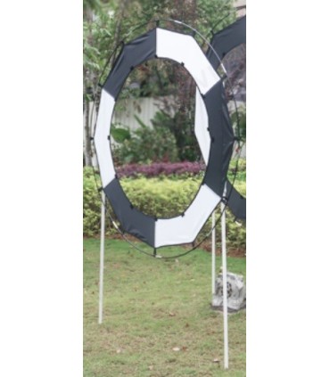 Ar portão em forma de um anel