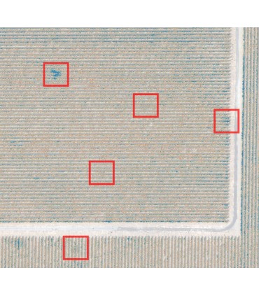 Sensor Altum Micasense