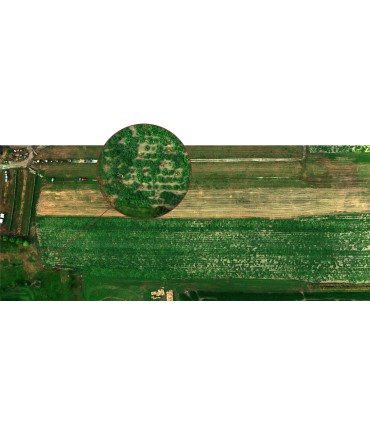 Sensor De Altum Micasense