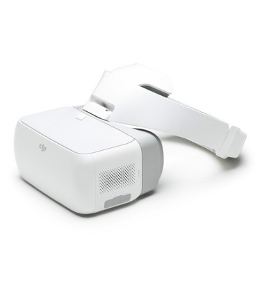 DJI goggles