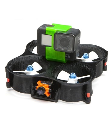 Chasis de nuez MOSCADA Shendrones