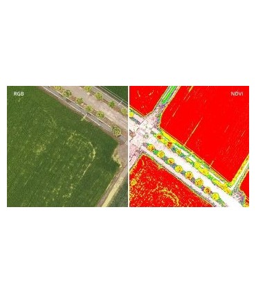 Alquiler de drone Phantom 4 Multiespectrales DJI en la semana