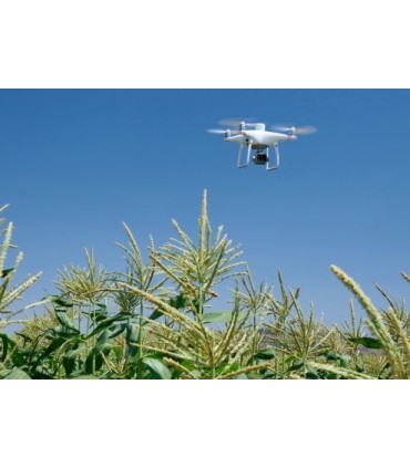 Rental drone Phantom 4 Multispectral DJI in the week