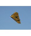 TAZER Flying Wing Kit 0,90 m