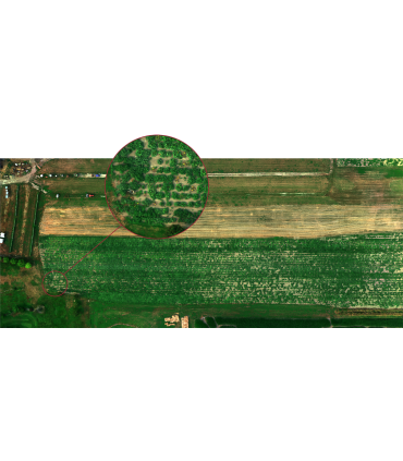 Lage Sensor Altum Micasense