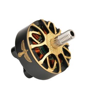 Motor MOTOR en T BLACKBIRD EDITION V2-2800KV