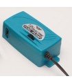 Electric fuel pump for methanol