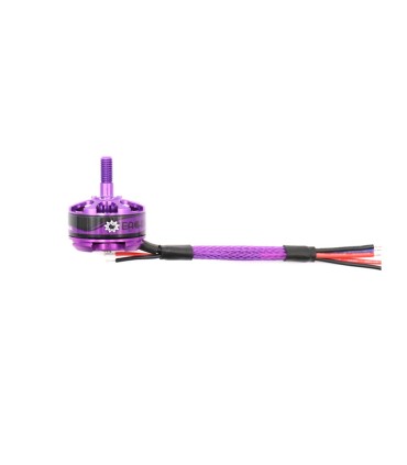 Motore Eachine MN2206 2300KV per il Wizard X220S