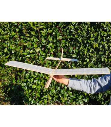 Segelflugzeug Freiflug GEGE