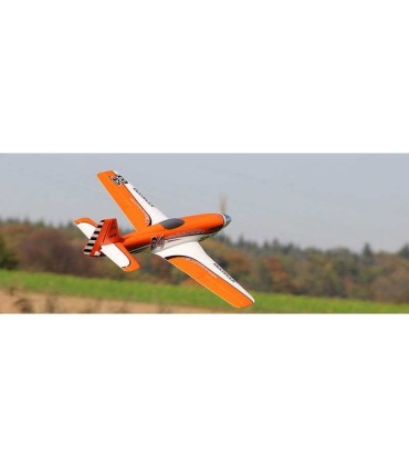 Funracer orange Edition RR Multiplex