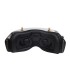 Lunettes FPV Fatshark Dominator Avatar