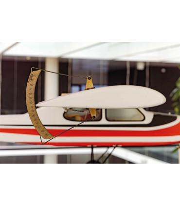 Robbe modelo grande calibre de viagem