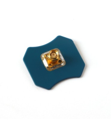 Bandicoot Bedrohung RC Empfangsantenne