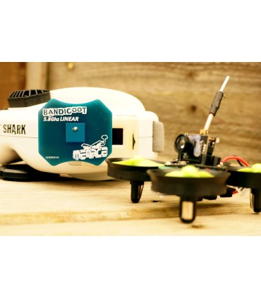 Antenne de réception Bandicoot Menace RC