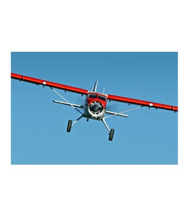 Beaver V2 FMS PNP 2m