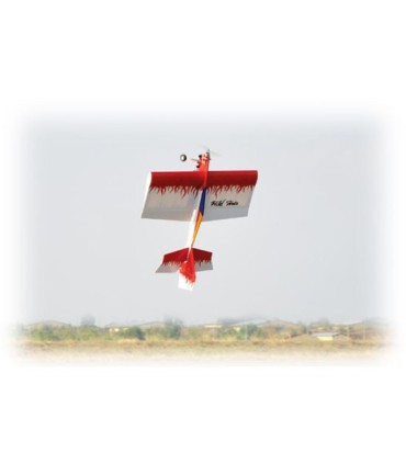 Avion Wild Hots EP ARF 1m02